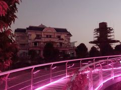 -广州花之恋城堡酒店