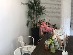 -有猫主题·治愈系猫咖(曾厝垵店)