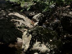 -太湖源风景区