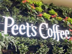 -Peet's Coffee皮爷咖啡(德基店)