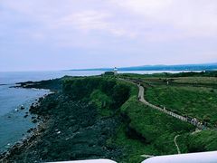 -涉地可支
