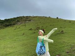 -大姆山草场