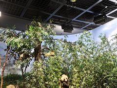 -陕西自然博物馆