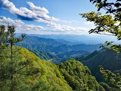 -王顺山国家森林公园