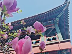 -莲池书院博物馆