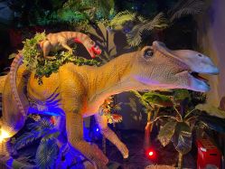 -恐龙探索乐园(磁器口店)