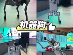 -空气湃·运动嘉年华·团建拓展生日趴·真人CS