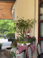 -伊莎贝拉婚礼庄园(顾村店)