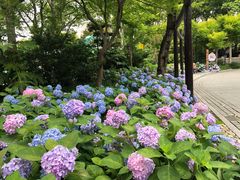 -王二甩老木子鸡(江湾店)