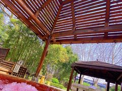 -春晖园度假酒店温泉