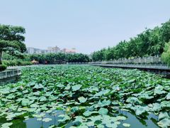 -南普陀素菜馆