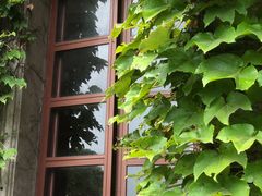 -半岛1919创意园区