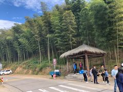 -宁波浙东大竹海景区