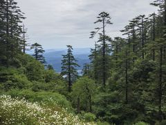 -瓦屋山景区