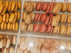 -Pierre Marcolini(德基广场店)