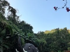 -野象谷景区