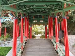 -白塔山公园