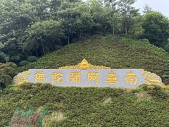 -庐山风景名胜区-东林大佛