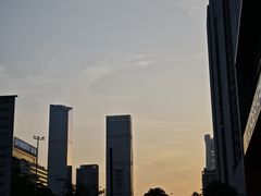 -大中华希尔顿酒店-念自助餐·嗨啤·小龙虾