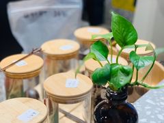 -sugarman espresso素饮糖人高新咖啡工厂