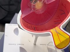 -武汉大学附属爱尔眼科医院(湖北总院)