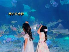 -泉城欧乐堡海洋极地世界