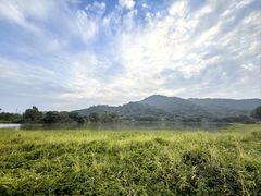 -风云岭森林公园