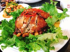 黄焖鸽子-天羽烤乳鸽店(财大家属院店)