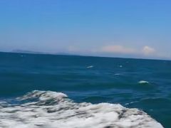 -海驴岛(荣成市)