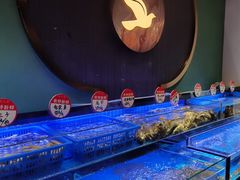 -鸽子侯·家宴·平价海鲜(市图书馆店)