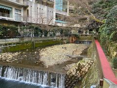 -月光园游月山庄