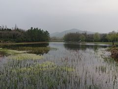 -长广溪湿地公园