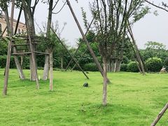 -府河摄影公园