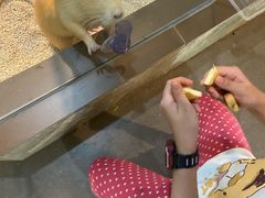 -昆明大悦城未来动物城(螺蛳湾中心店)