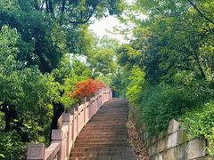 -杭州半山国家森林公园