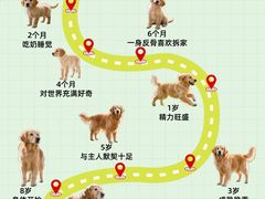-瑞鹏·疫苗·绝育·宠物医院(金沙洲店)