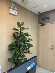 -深圳阳光医疗美容医院·旗舰店