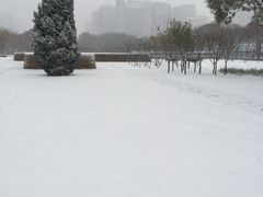 -唐城墙遗址公园