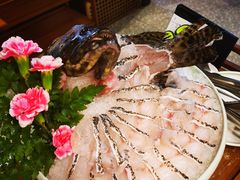 -禄婶鸡煲·打边炉