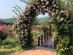 -龙寺生态园