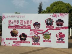 -洛龙公园