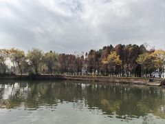 -庾园