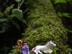 -西岭雪山大飞水景区