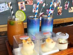 -柴犬高等学院·狗咖·柴犬售卖·宠物训练