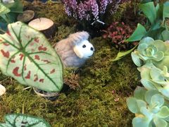 -欢乐牧场海鲜烤肉自助(牡丹园店)