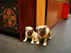 -财神鸡煲(华强北店)