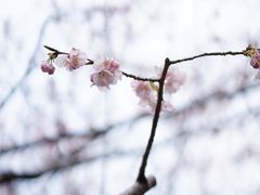 -静安雕塑公园