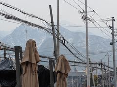 -都江堰石锅鱼