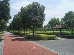-上海山野camping·户外天幕烧烤·团建拓展营地