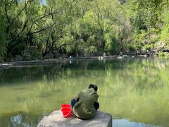 -九如山休闲旅游度假区